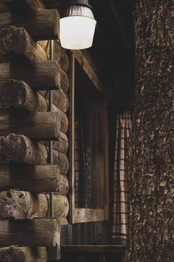 Avenwood Cabins 洛根 外观 照片