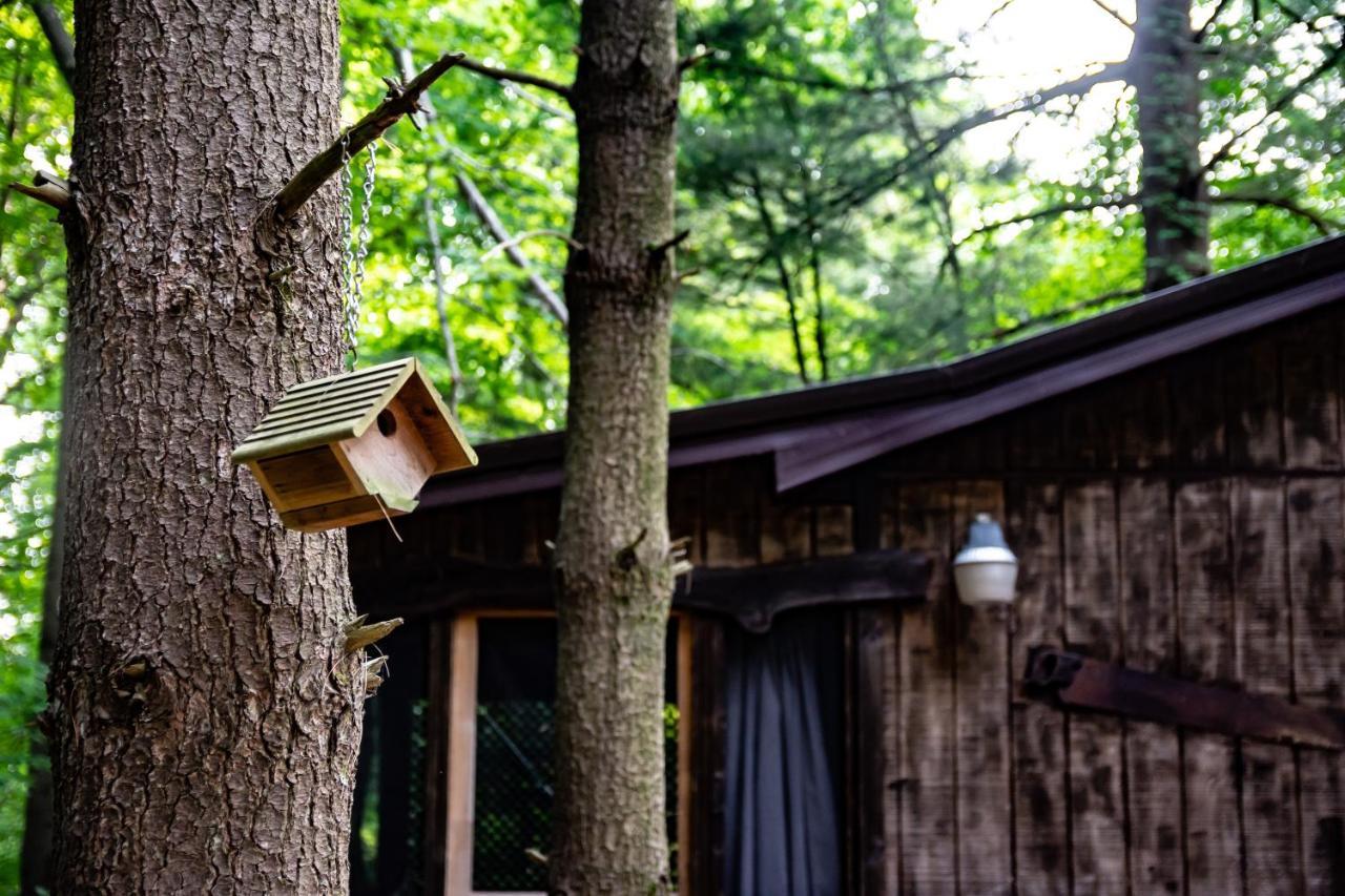 Avenwood Cabins 洛根 外观 照片